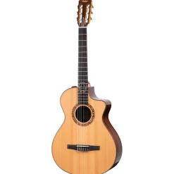 Taylor Jason Mraz Signature Model JMSM Indian Rosewood Acoustic-Electric Classical Guitar
