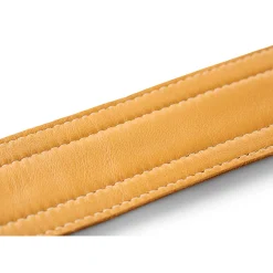 Taylor Nouveau 2.5