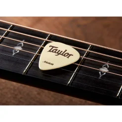 Taylor Premium DarkTone Ivoroid 351 Guitar Picks, 6-Pack