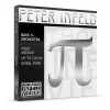 Thomastik Peter Infeld Bass String Set