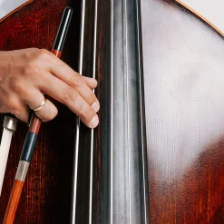 Thomastik Peter Infeld Bass String Set