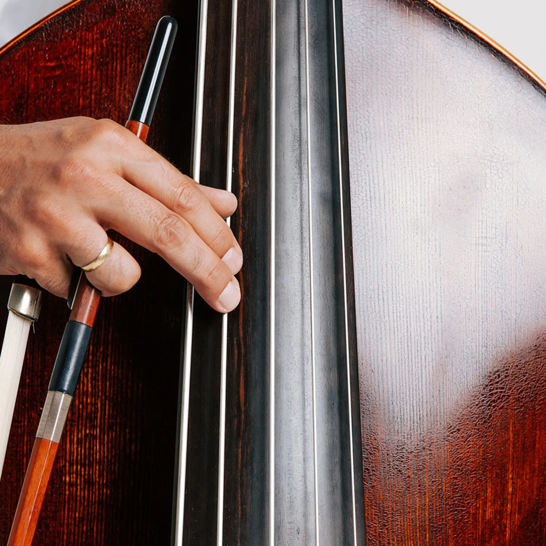 Thomastik Peter Infeld Bass String Set