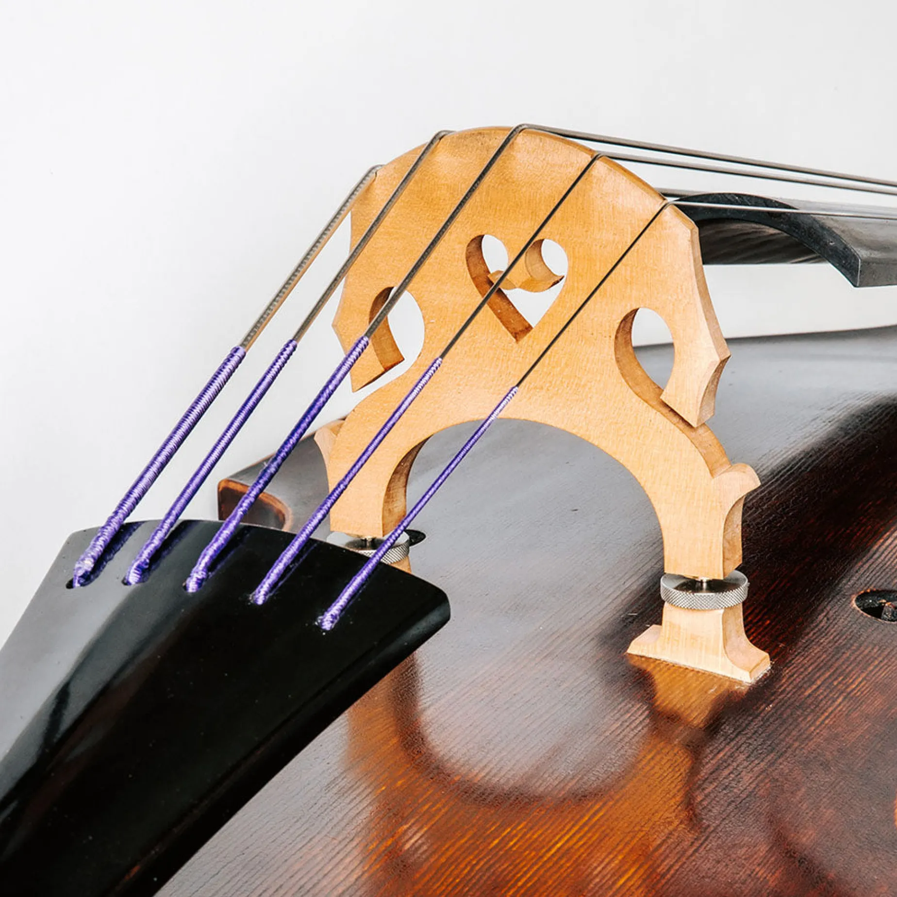 Thomastik Peter Infeld Bass String Set
