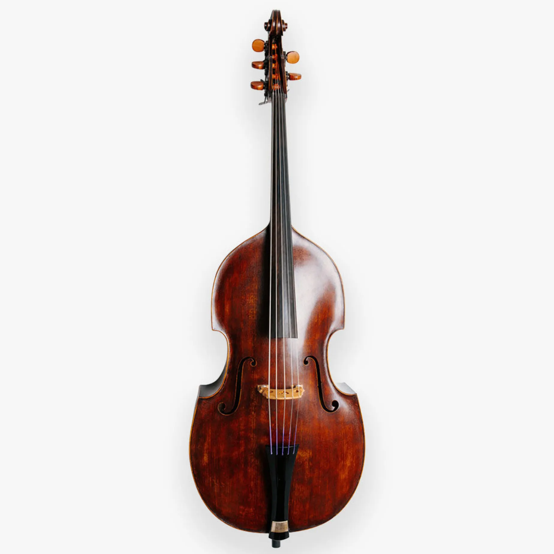 Thomastik Peter Infeld Bass String Set