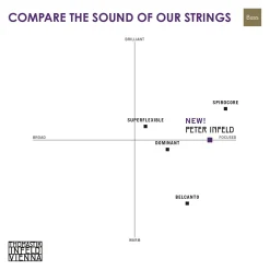 Thomastik Peter Infeld Bass String Set