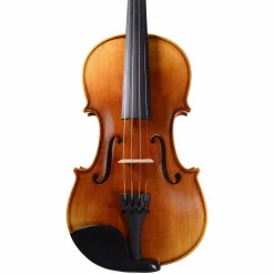 Tower Strings Legend Violin Outfit