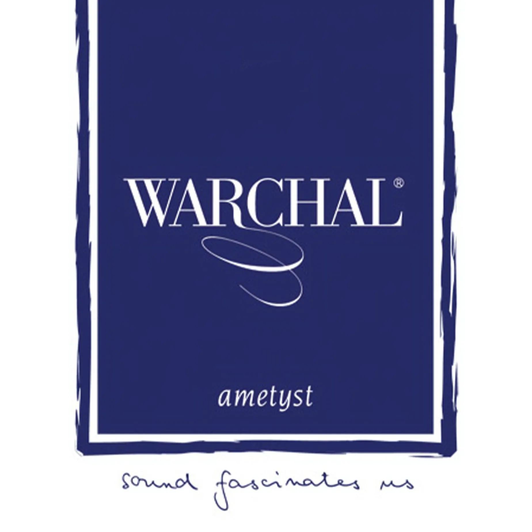 Warchal Ametyst Violin E String
