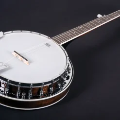 Washburn Americana B11 5-String Banjo