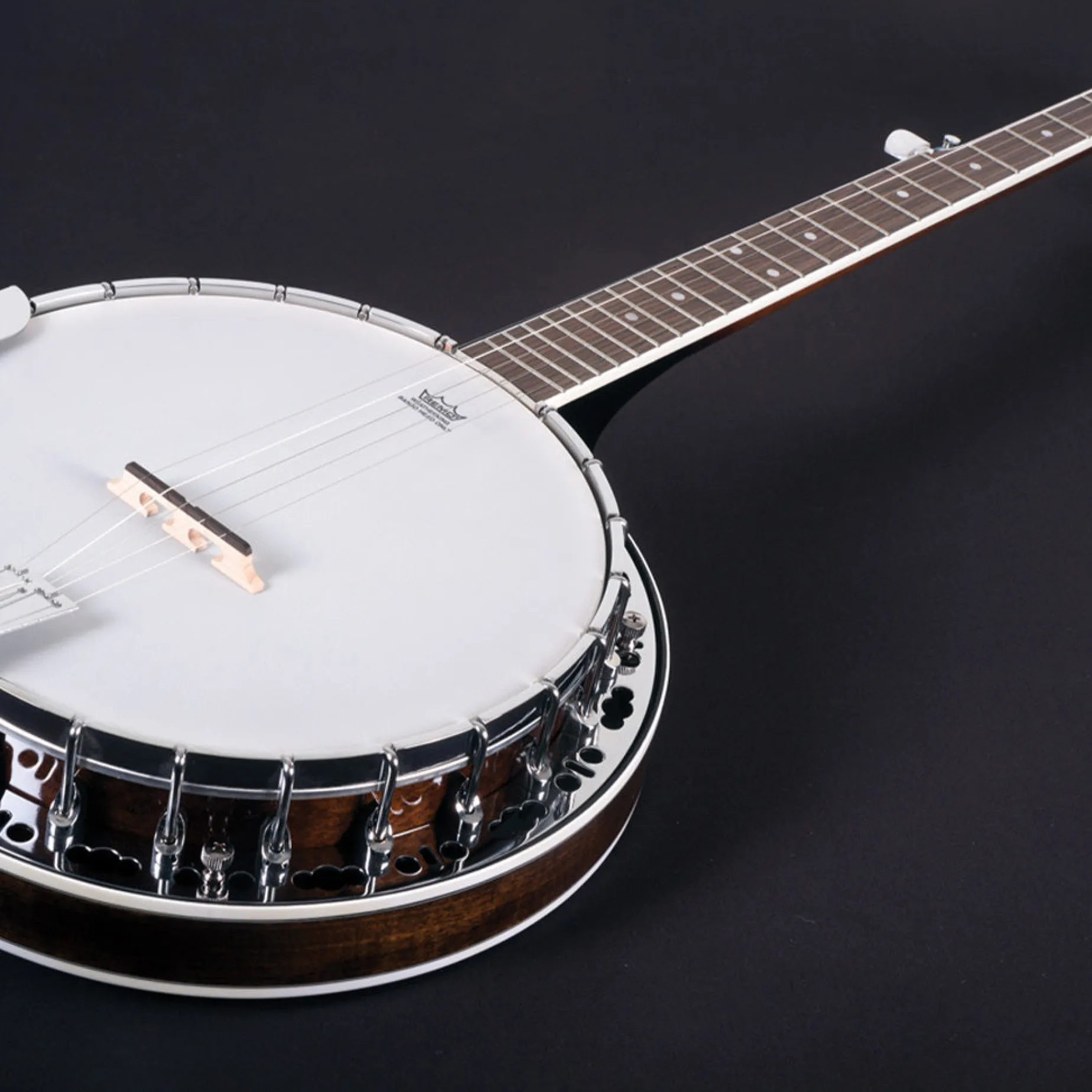 Washburn Americana B11 5-String Banjo