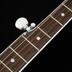 Washburn Americana B11 5-String Banjo