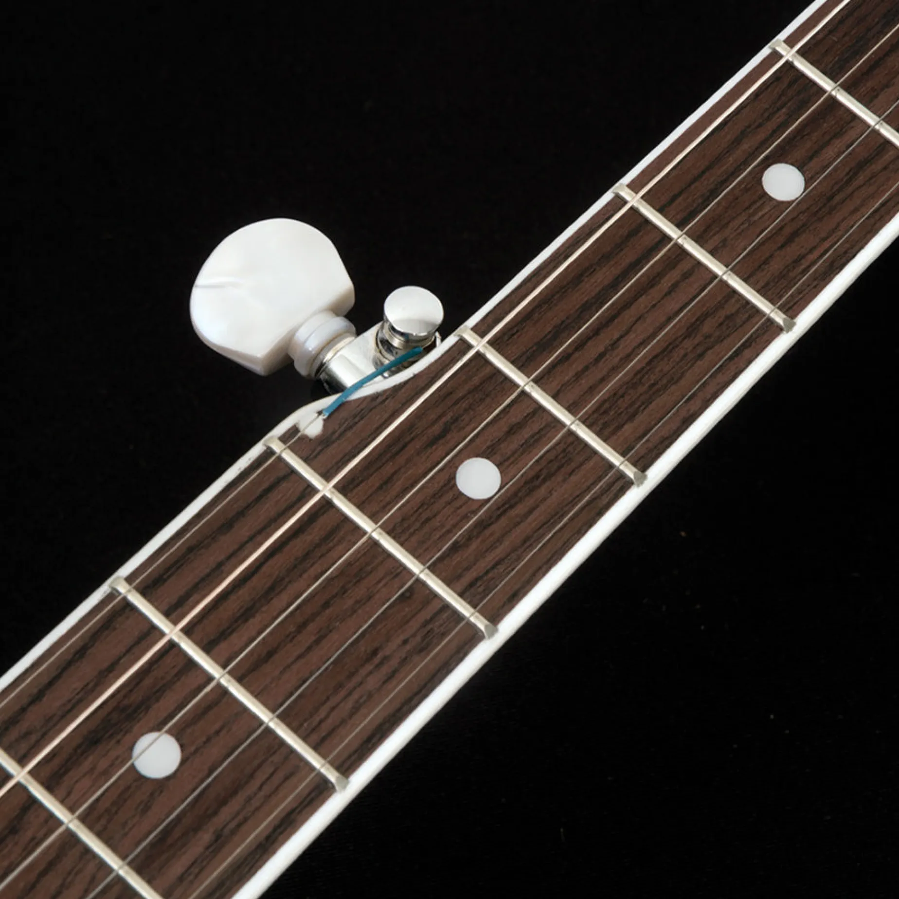 Washburn Americana B11 5-String Banjo