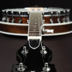 Washburn Americana B11 5-String Banjo