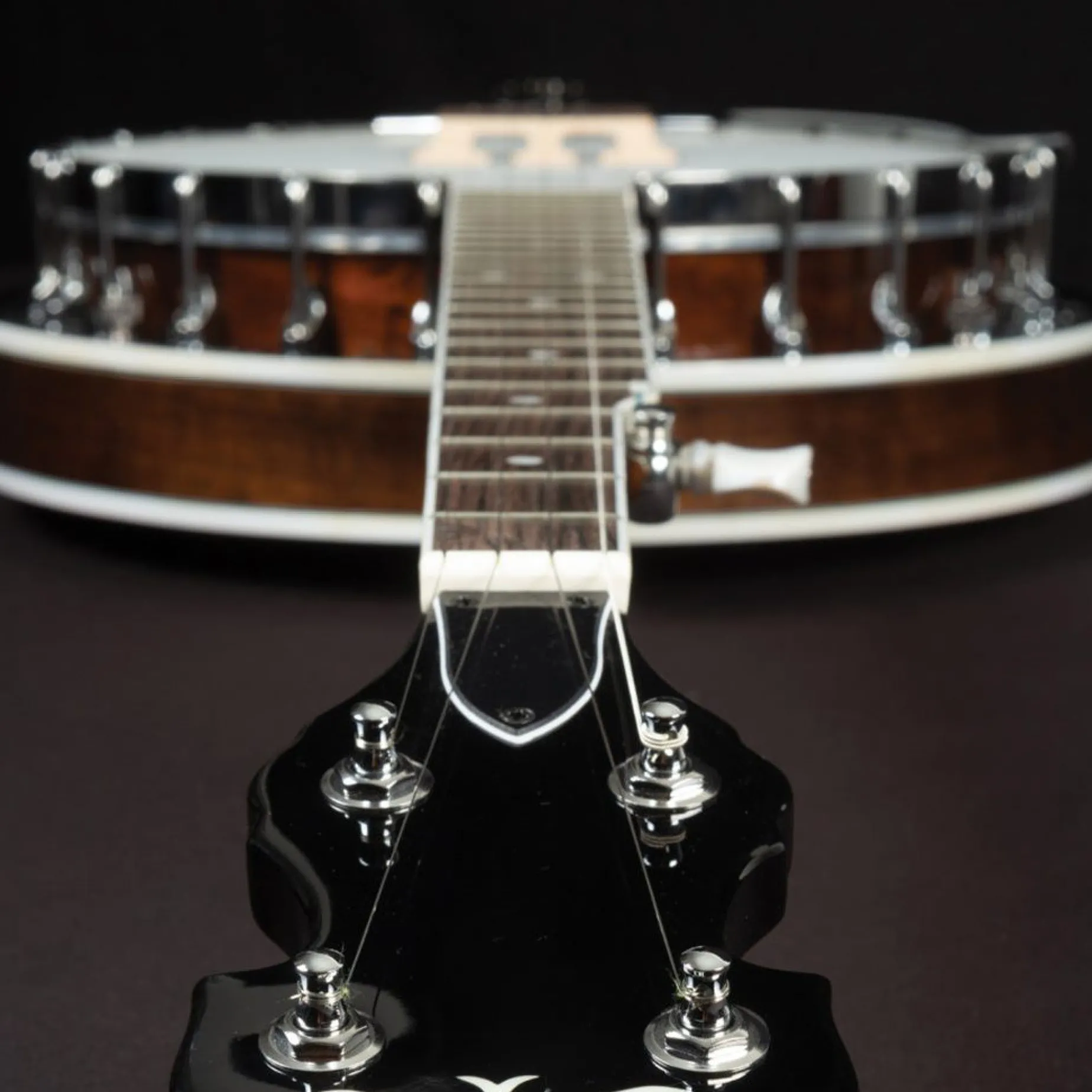 Washburn Americana B11 5-String Banjo