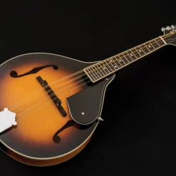 Washburn Americana M1 Mandolin Outfit