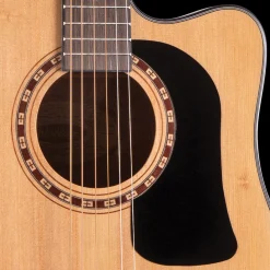 Washburn Apprentice D5 Acoustic-Electric Guitar Outfit