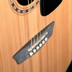 Washburn Apprentice D5 Acoustic-Electric Guitar Outfit