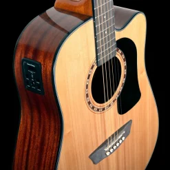Washburn Apprentice D5 Acoustic-Electric Guitar Outfit