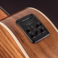Washburn Bella Tono Allure SC56S Acoustic-Electric Guitar