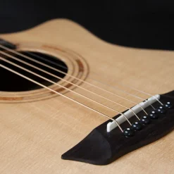 Washburn Comfort G20SCE Acoustic-Electric Guitar