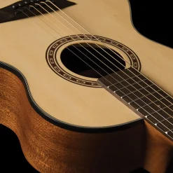 Washburn G-Mini 5 Apprentice Series Acoustic Guitar